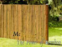 Bambus-Dresden: Anwendungsbeispiel f�r den Bambusrollzaun Natur - Ort: Dresden