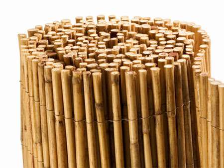Bambus-Dresden: Bambusmatte Bangkok - Ort: Dresden