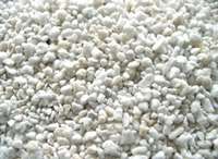 Perlite zur Pflanzen- und Samenanzucht